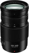 Panasonic Lumix G VARIO 100-300 mm F4.0-5.6 Power O.I.S. 67 mm filter (geschikt voor Micro Four Thirds) zwart