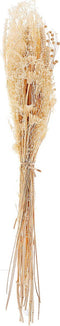 Beliani BRUNETE - Droogbloemen boeket - Natuurlijk - Droogbloemen