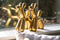 Richmond Decofiguur Dog Gold 28cm