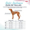 Hondentuigje Company of Animals Groen XL 50-78 cm