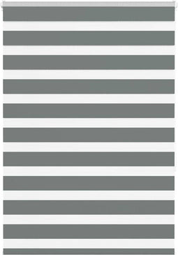 vidaXL - Zebra - rolgordijn - 100x150 - cm - stofbreedte - 95,9 - cm - donkergrijs