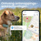 Tractive DOG 6 - GPS Tracker voor Honden - Real-Time Locatie en Activiteitenmonitor - Munt