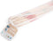 BS Toys Mikado - Grote Stokken - Hout - 31 stokken van 90 cm - Buitenspeelgoed