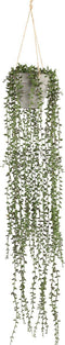 PTMD Senecio Succulent Hangende Kunstplant - H80 x Ø17 cm - Groen