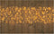 Anna Collection ijspegelverlichting - met timer - 1000 led lampjes - warm wit