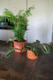 Ter Steege Bloempot Oranje D 17 cm H 15 cm Opening 14 cm