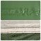 vidaXL - Kampeerluifel - waterdicht - 460x305x210 - cm - groen