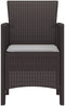 vidaXL - tuinstoelen - met - kussens - 2 - stuks - Bruin - Poly - Rattan