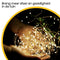 Happy Goods Solar Tuinverlichting - 200 LED Lichtsnoer Buiten - 20 m - Waterbestendig - Automatisch Aan