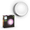 Philips Hue Daylo - Wandlamp - White & Color - Aluminium (1x)