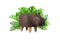 Feel Furniture - Kinder dierenstoel - Nijlpaard