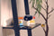 Motorola PIP 1610 - Babyfoon - 5 inch HD kleurenbeeldscherm - Wit