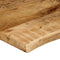 vidaXL - Tafelblad - met - natuurlijke - rand - 110x60x3,8 - cm - massief - mangohout