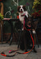Hondenhalsband Dingo 14753 Groen 37 cm 61 cm