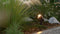 Steinel Prikspot LED Spot Way Garden SC 24V - Bewegingssensor - Bluetooth RGB - Antraciet