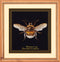 Thea Gouverneur - Borduurpakket met telpatroon - 3018.05 - Voorgesorteerde DMC Garens - Hommel - Zwart Aida - 17 cm x 18 cm - DIY Kit