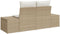 vidaXL - 2-Zits - Tuinbank - met - Opbergruimte - & - Kussens - Beige - Poly - Rattan