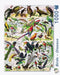Birds ~ Oiseaux - NYPC Vintage Images Collectie Puzzel tropische vogels en roofvogels 1000 Stukjes