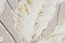 Esprit - Schilderij - Handgeverfd Lakens Cottage - Wit Beige (2 stuks)