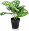 Monstera Kunstplant - Monkey Leaf Kunst - Incl. decoratieve zwarte pot - ↑ 29 cm - Ø9,5cm