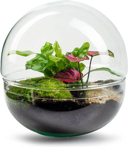 Biodome Bush