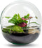 Biodome Bush