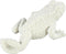 PTMD Decoratieve object Kikker Bjrok - 19x11x8 cm - Polyester - Wit