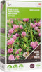 Buzzy® Groenbemester Rode Klaver - 150 gram