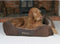 Scruffs Chester Box Bed - Hondenmand - Anti-slip onderzijde - M - Chocolade Bruin