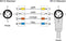 Metz Connect 142M1D19050 M12 Netwerkkabel, patchkabel CAT 5e SF/FTP 5.00 m Groen PUR-mantel, Zuurbestendig, Ozonbestend