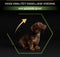 Pro Plan Healthy Start Puppy Small & Mini - Honden Droogvoer - Kip - 3 kg