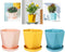Set van 3 kunststof plantenpotten met schotel - 14.5 cm - Roze, Geel, Blauw