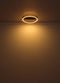 Globo Gunther Plafondlamp - LED - Dimbaar - 40 cm - Zwart
