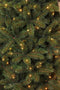 Triumph Tree Forest Frosted Pine - Kunstkerstboom 155 cm hoog - Met energiezuinige LED lampjes