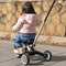 Qplay Stager - Driewieler 3-in-1 - Opvouwbaar - Bruin