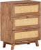 vidaXL - Dressoir - 61x35x76 - cm - massief - mangohout