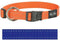 Rogz Utility Halsband Blauw - Hondenhalsband - L 34-56x2.0 Cm