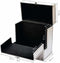 Vinyl LP Koffer - Platenkoffer - 40 LPs - Zilver Aluminium
