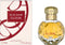 Elie Saab Elixer Eau de Parfum Spray 50 ml