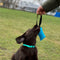 Hondenhalsband Dingo 14759 28 cm 20 cm