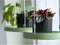 Esschert Design Plantenblad hangend rond S groen