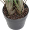 Decoratieve plant DKD Home Decor (80 x 80 x 120 cm)