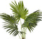 Beliani FAN PALM - Kunstplant - Groen - Kunststof