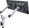 SpeaKa Professional SP-1624800 - SuperFlex Monitor-tafelbeugel 2-voudig 25,4 cm (10) - 68,6 cm (27) - Zilver-zwart (2 stuks)