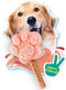 Smoofl Premium Hondensnacks: Ijs voor honden als een snack om af te koelen in de zomer en als een gezonde hond traktatie met verfrissend effect, honden ijs met watermeloen