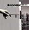 Scorpions - Crazy World - LP - Standard Edition (US Version)