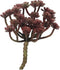 Cacta rood 19 cm kunstplant