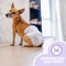 EasyPets Hondenluiers Teef - Wegwerpluiers - Ademend & Comfortabel - S/M (30 stuks)