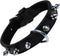 Dog collar Gloria Black Spikes (35 cm)