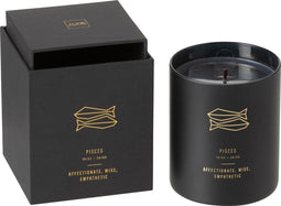 J-Line geurkaars Astro Vissen – Rainbow Reef – zwart - 50U